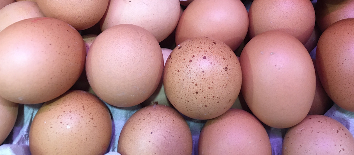 traiteur-belfort-photo